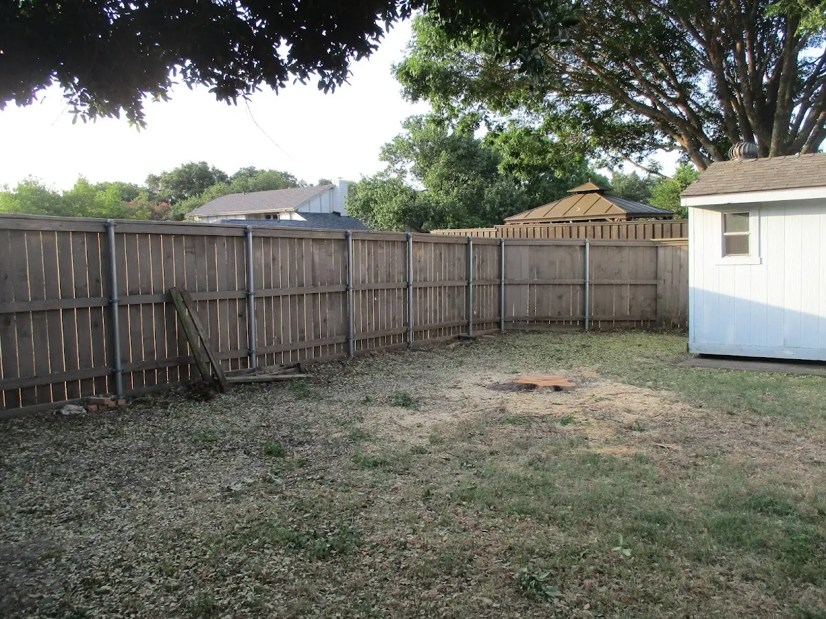 Cleared yard after professional tree removal in Elkwood